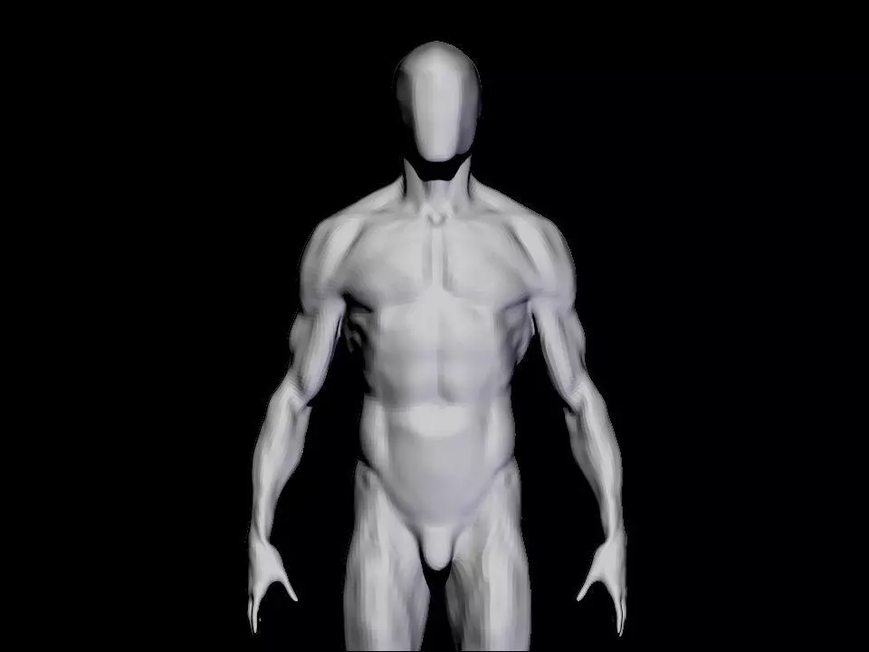 anatomy  for study  3D model_0