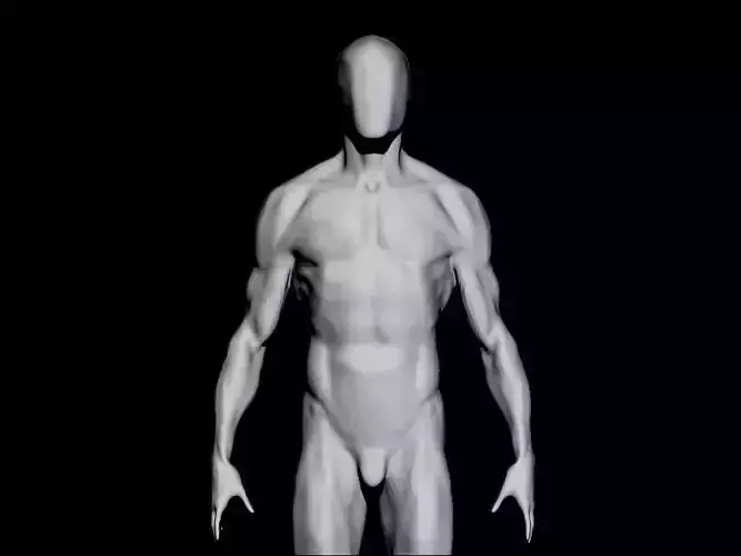anatomy  for study  3D model