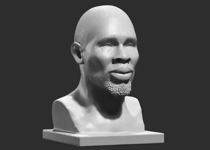 human head modern sculpture 3d print model 85 3D print model