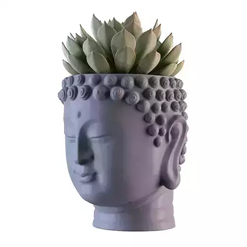 Head Buddha Vase 3D print model