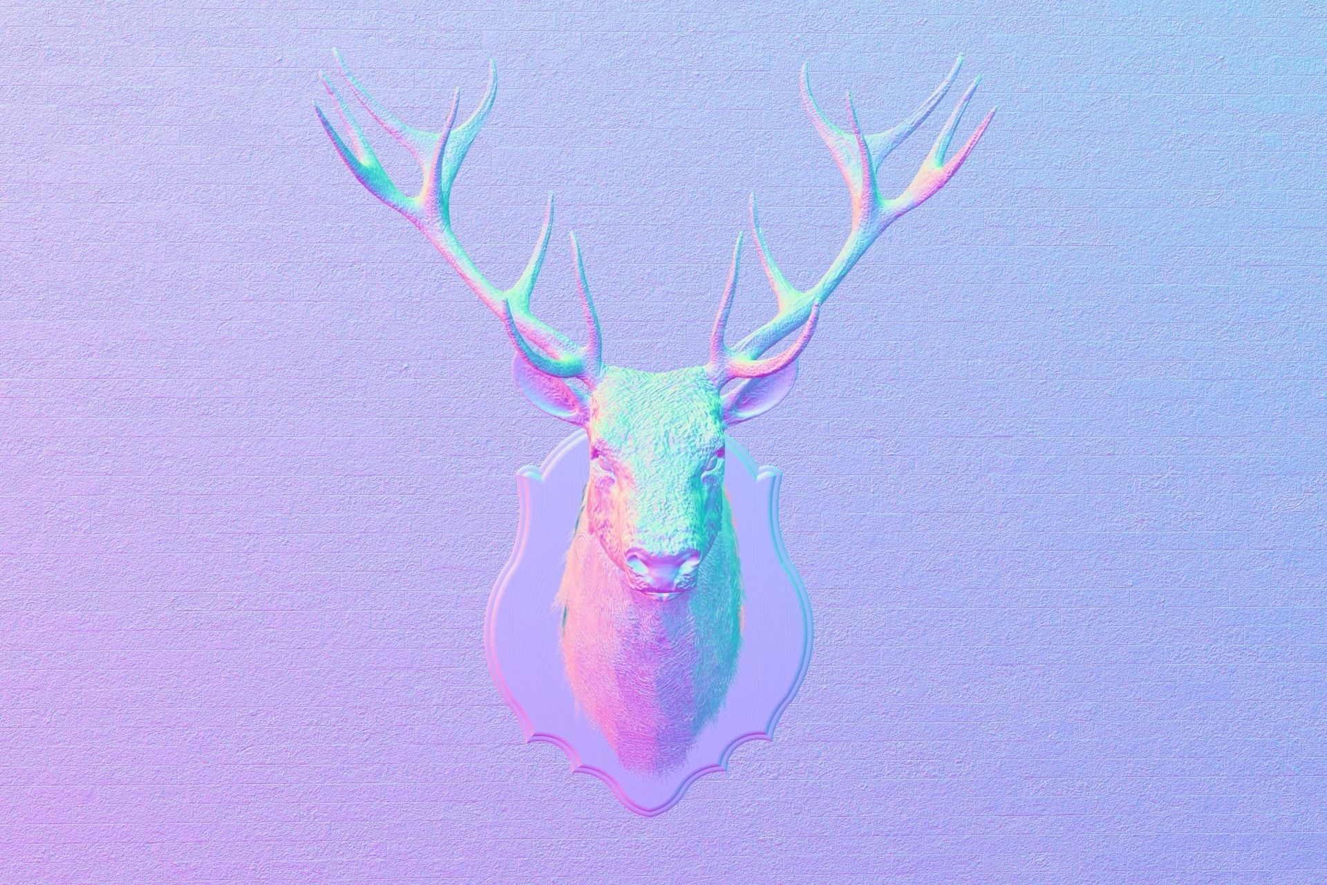 Deer head decorative wall decoration display collection 3D model_16
