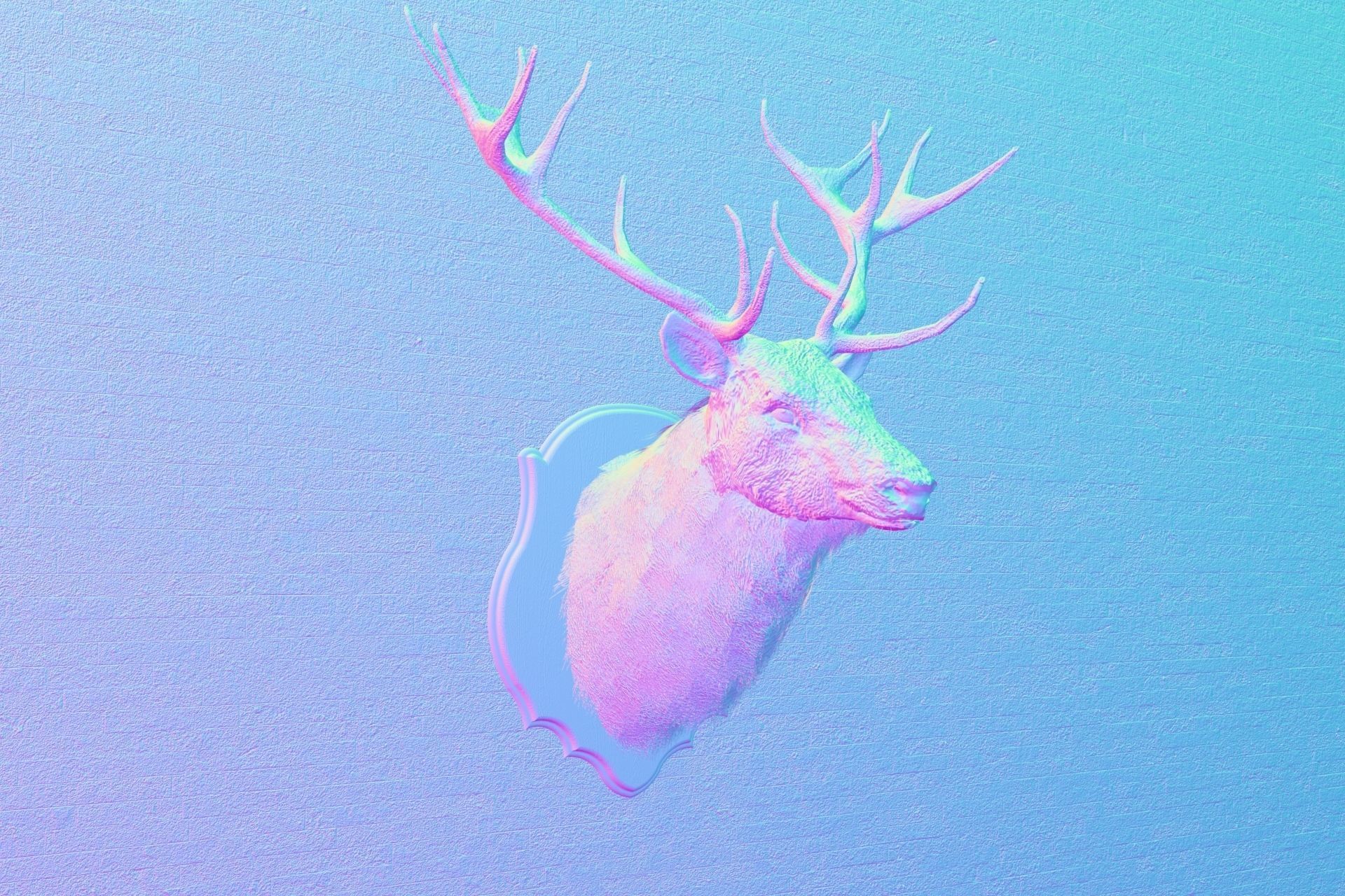 Deer head decorative wall decoration display collection 3D model_2