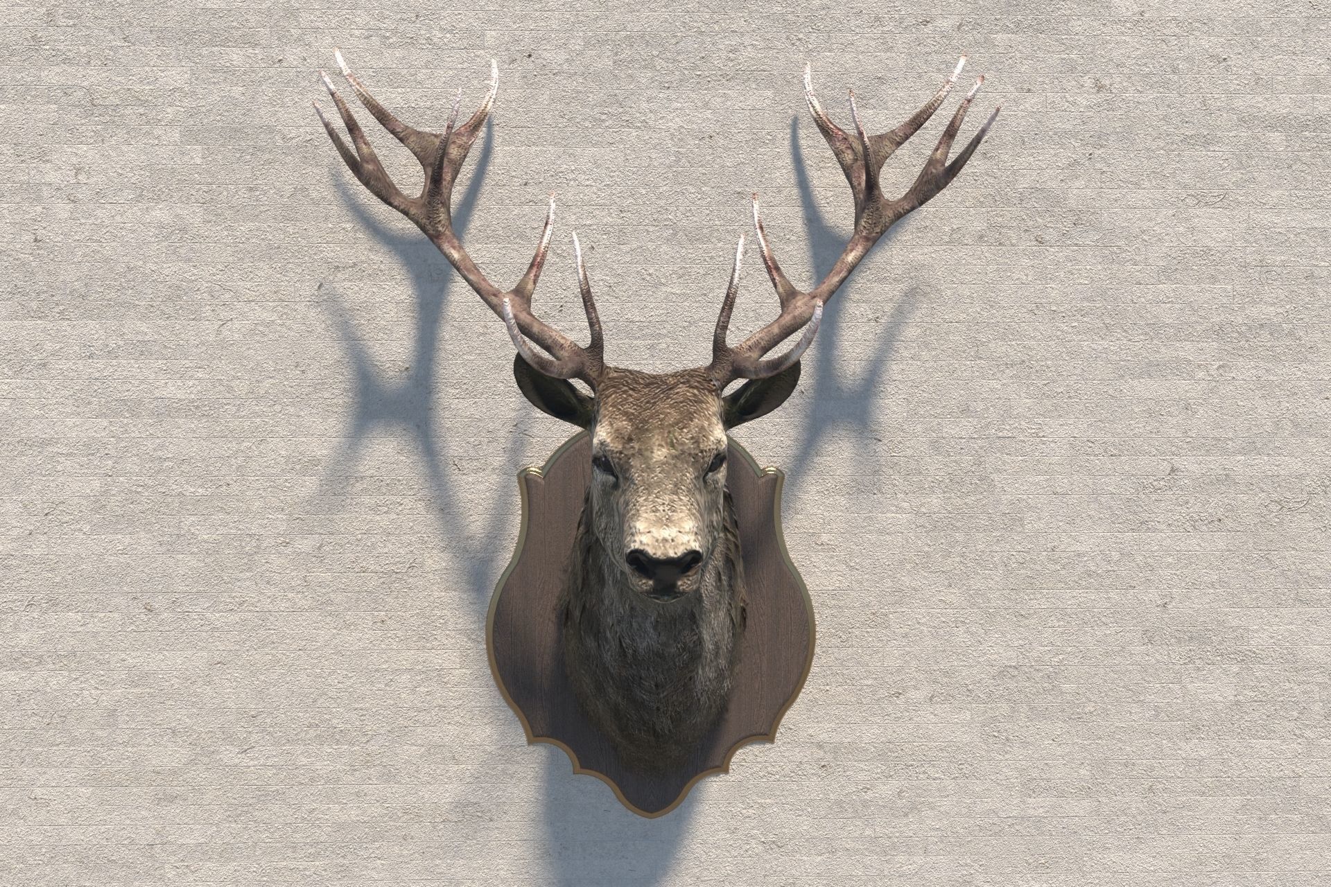 Deer head decorative wall decoration display collection 3D model_17