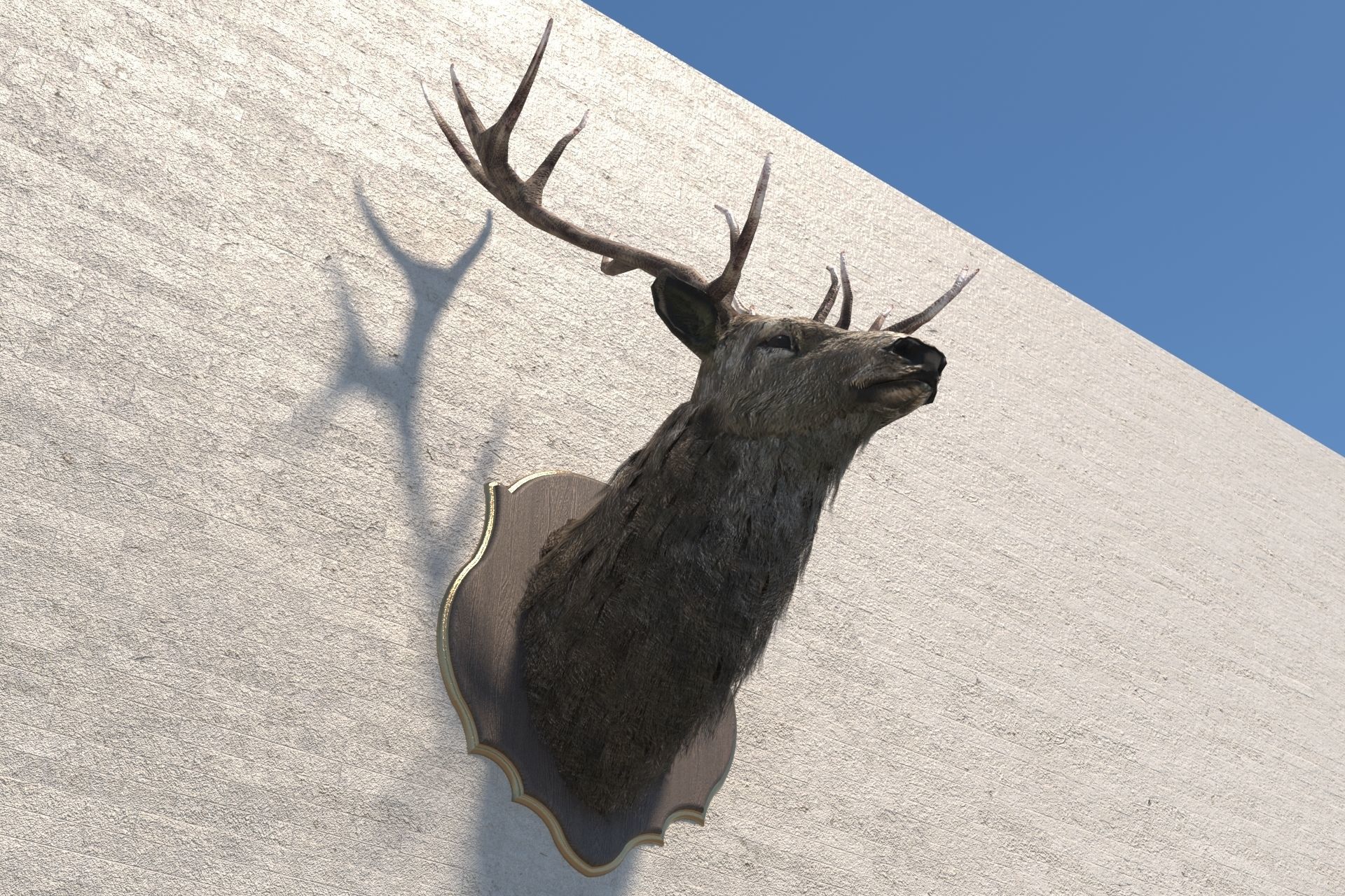 Deer head decorative wall decoration display collection 3D model_6