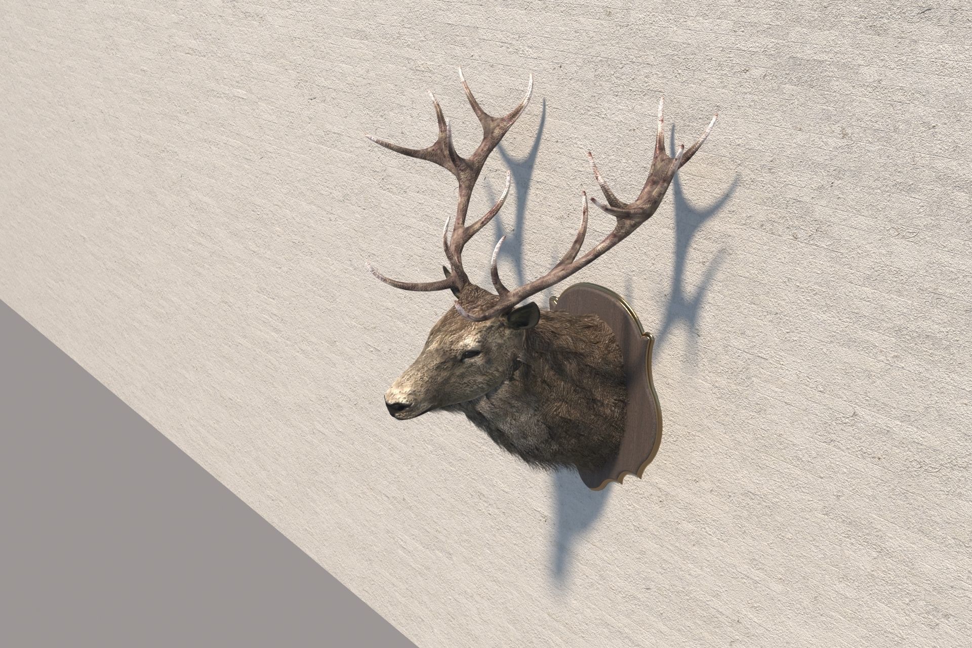 Deer head decorative wall decoration display collection 3D model_9