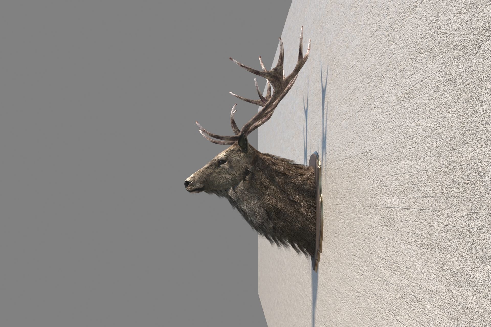 Deer head decorative wall decoration display collection 3D model_12