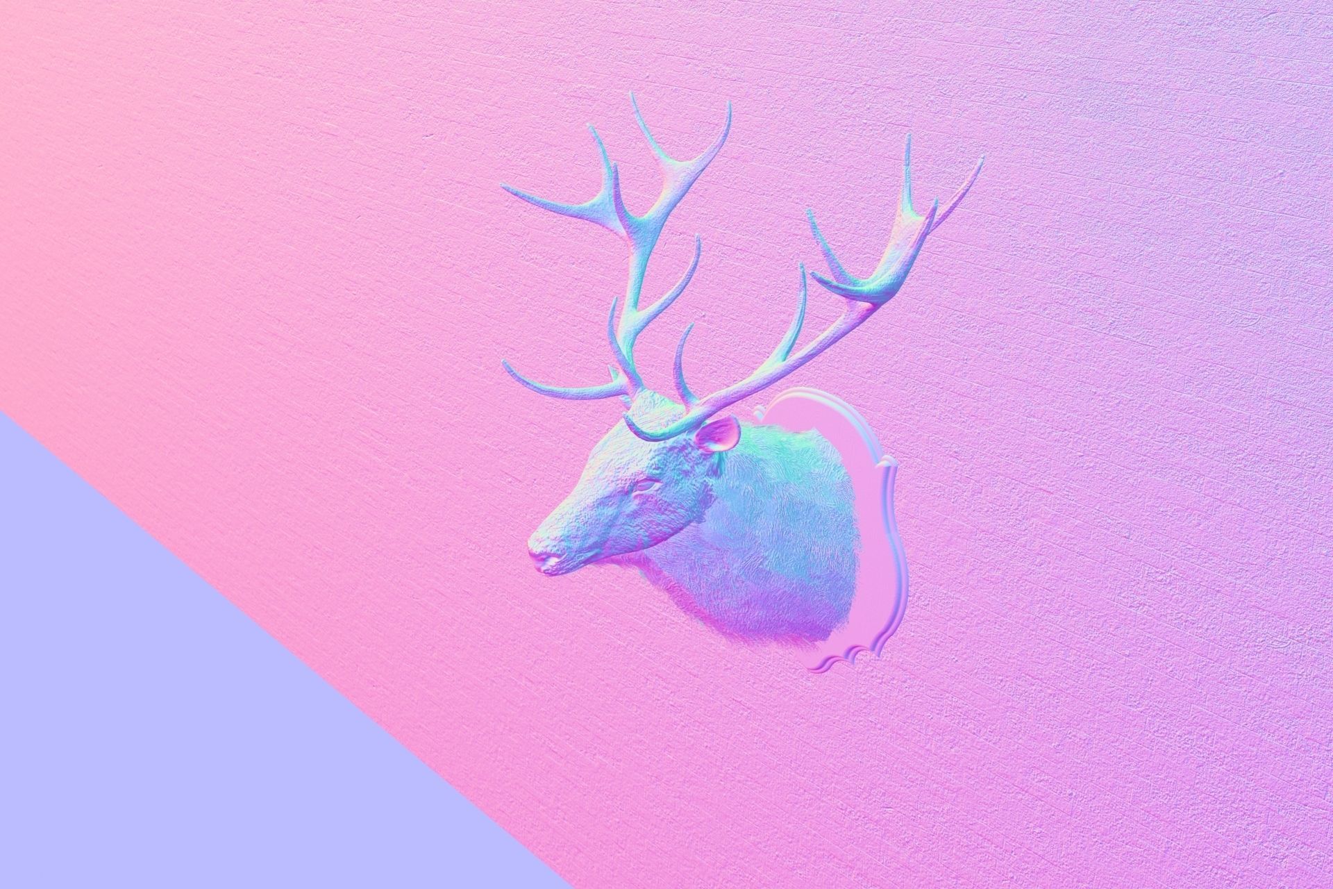 Deer head decorative wall decoration display collection 3D model_10