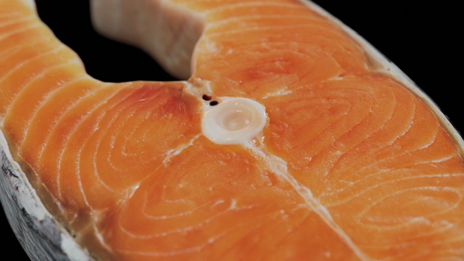 Raw salmon steak Low-poly 3D model_25