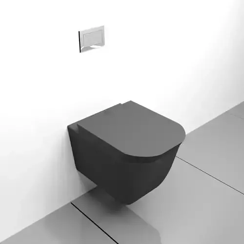 Matte black wall mounted toilet