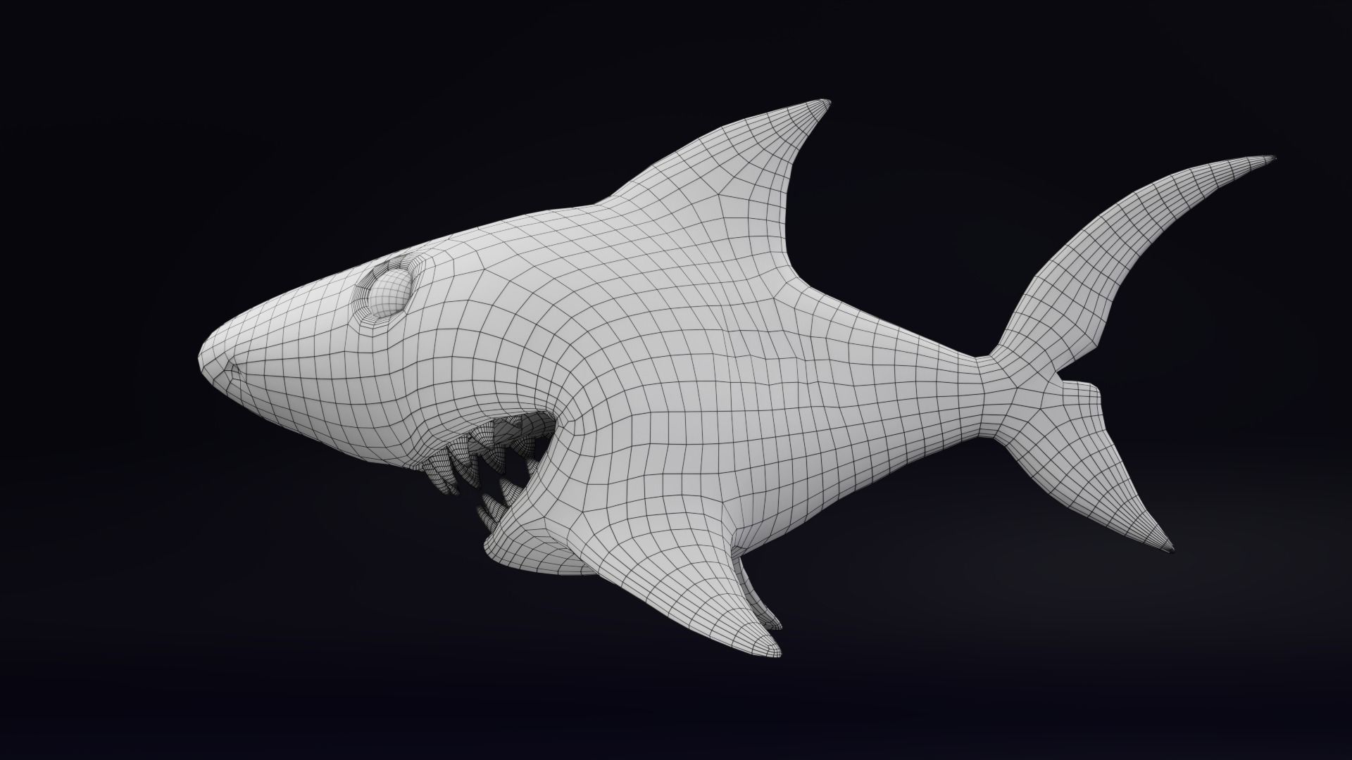 3D Stylized Cute Shark - Rigged 3D model_9