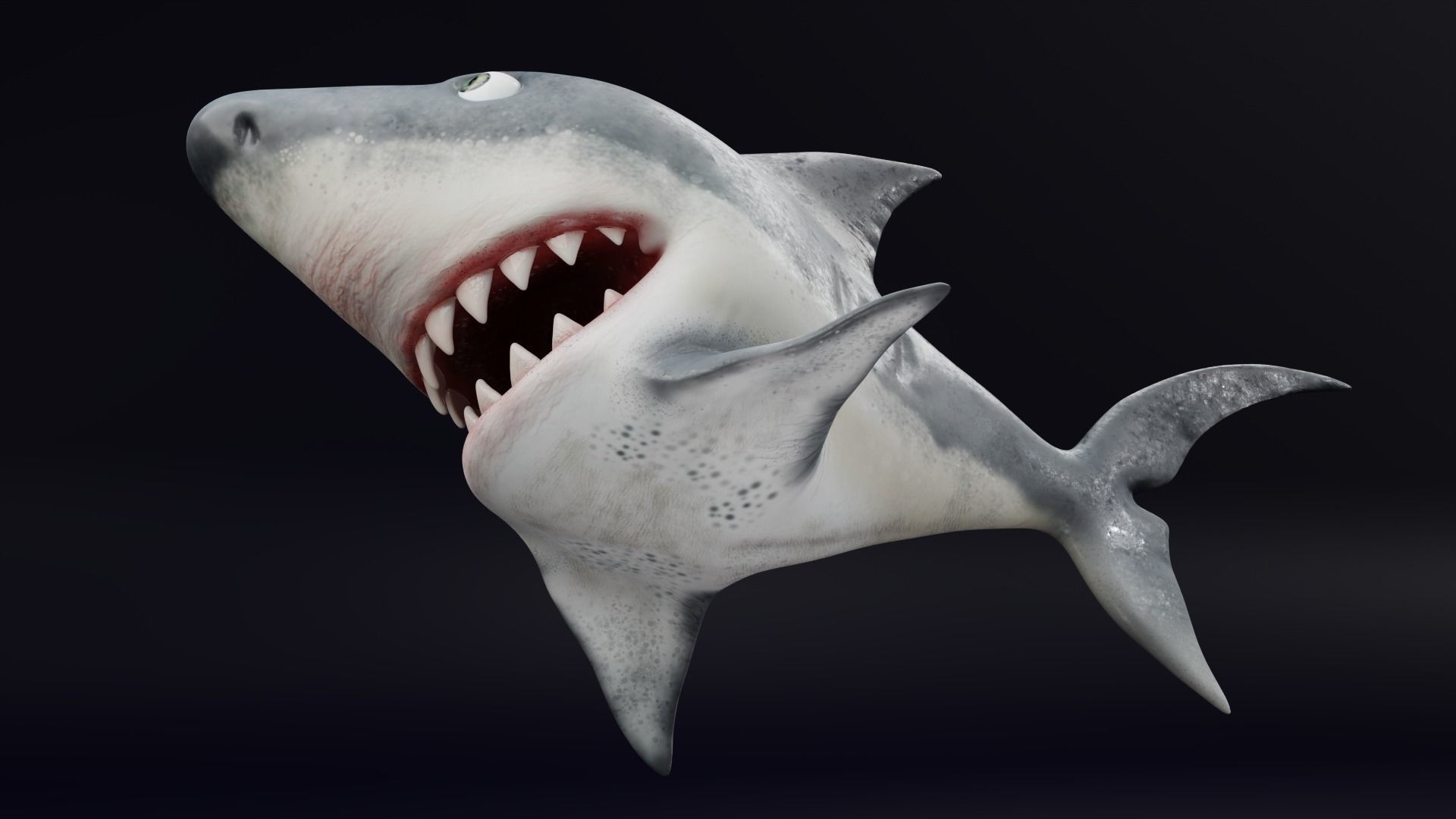 3D Stylized Cute Shark - Rigged 3D model_4