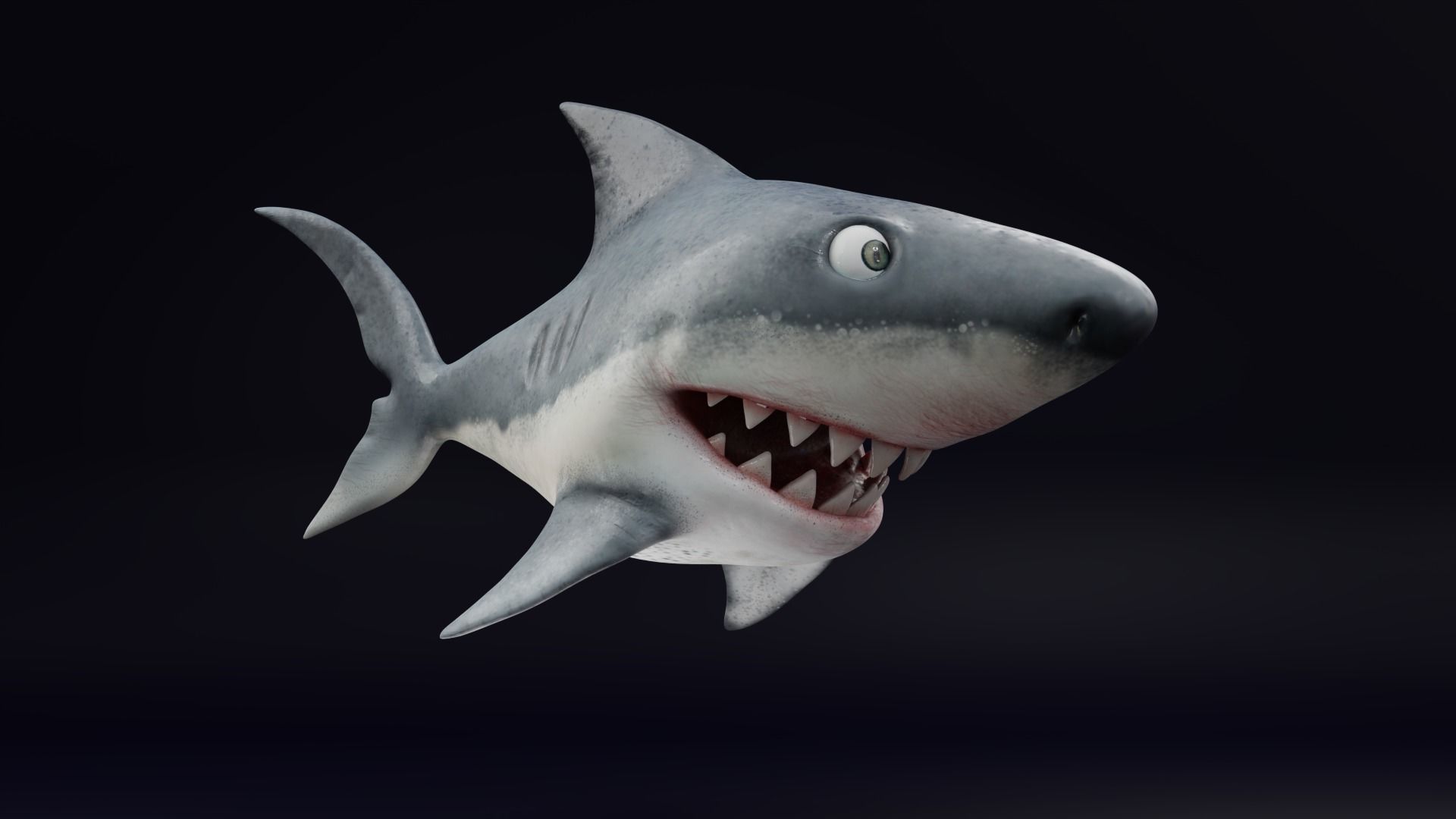 3D Stylized Cute Shark - Rigged 3D model_3