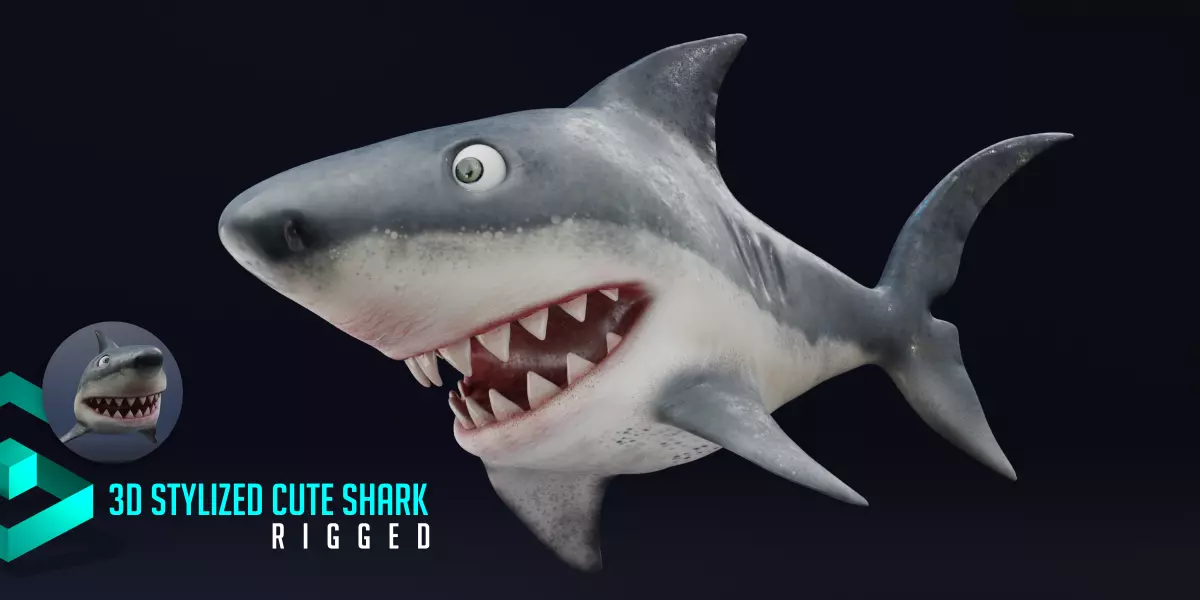 3D Stylized Cute Shark - Rigged 3D model_0