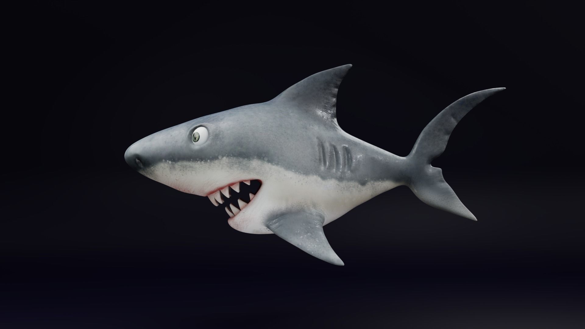 3D Stylized Cute Shark - Rigged 3D model_5