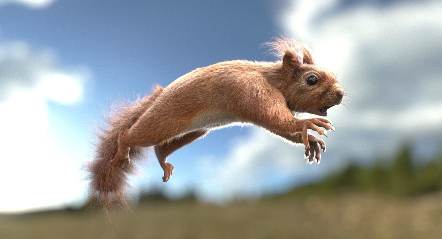Squirrel Grey and Red RIG 3D Model Collection_1