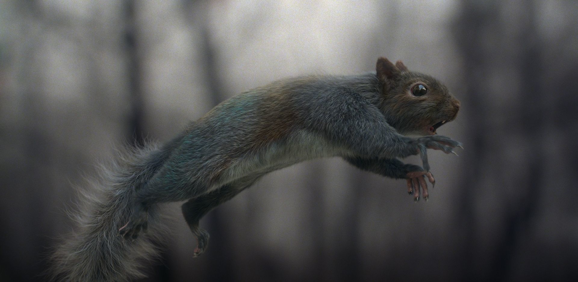 Squirrel Grey and Red RIG 3D Model Collection_2