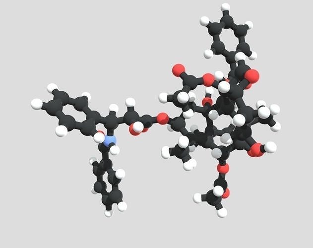 Taxol drug molecule 3D model