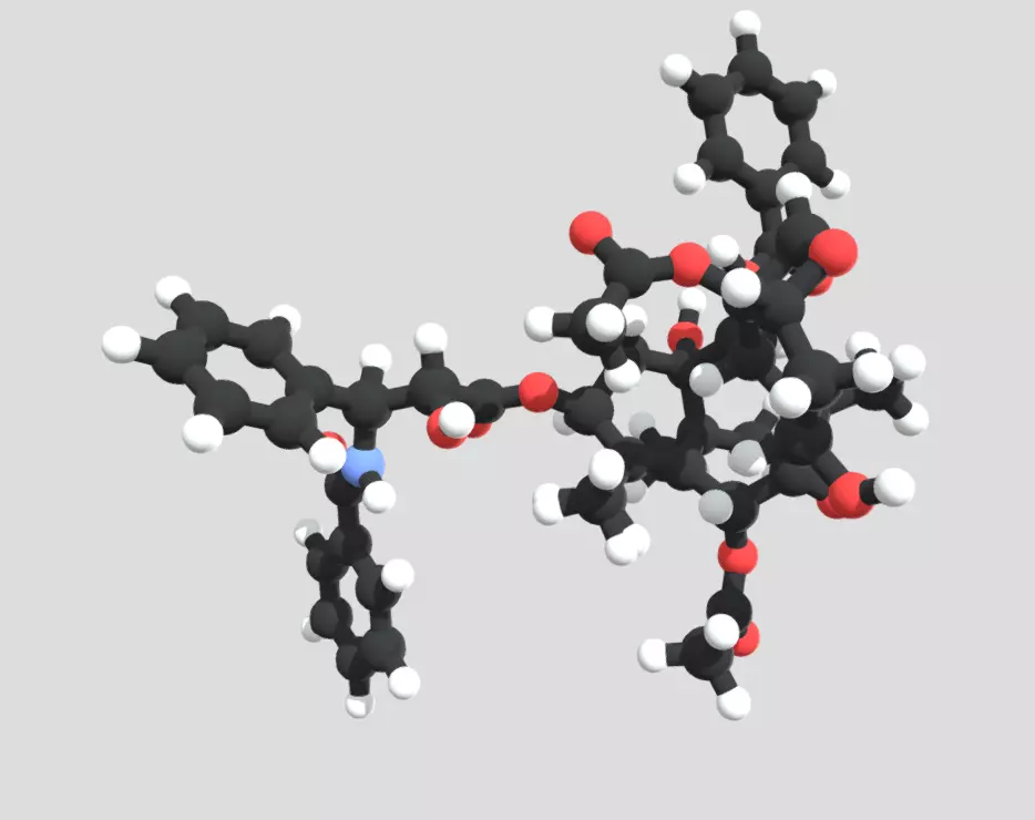 Taxol drug molecule 3D model_0