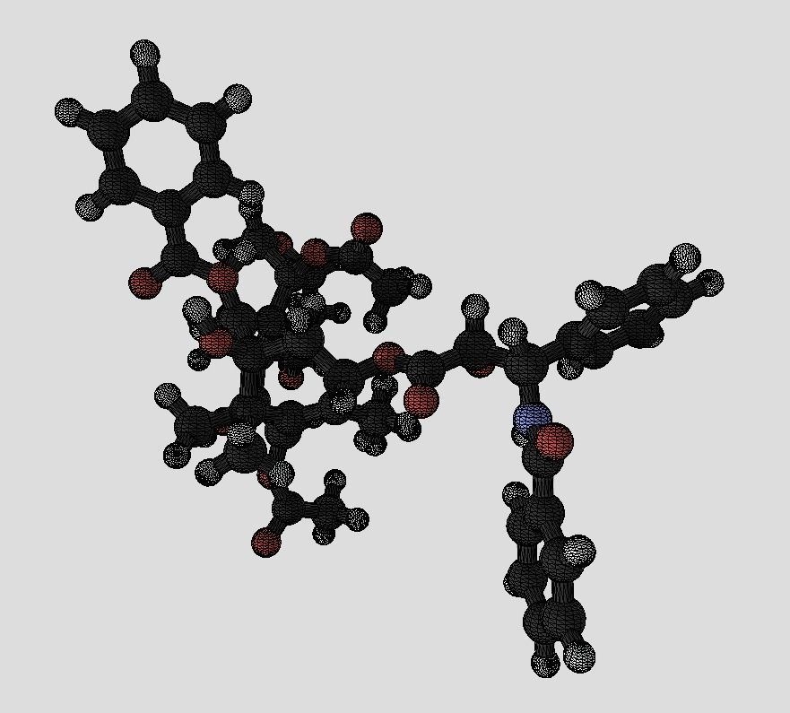 Taxol drug molecule 3D model_4