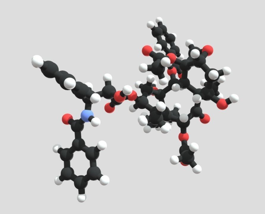 Taxol drug molecule 3D model_2