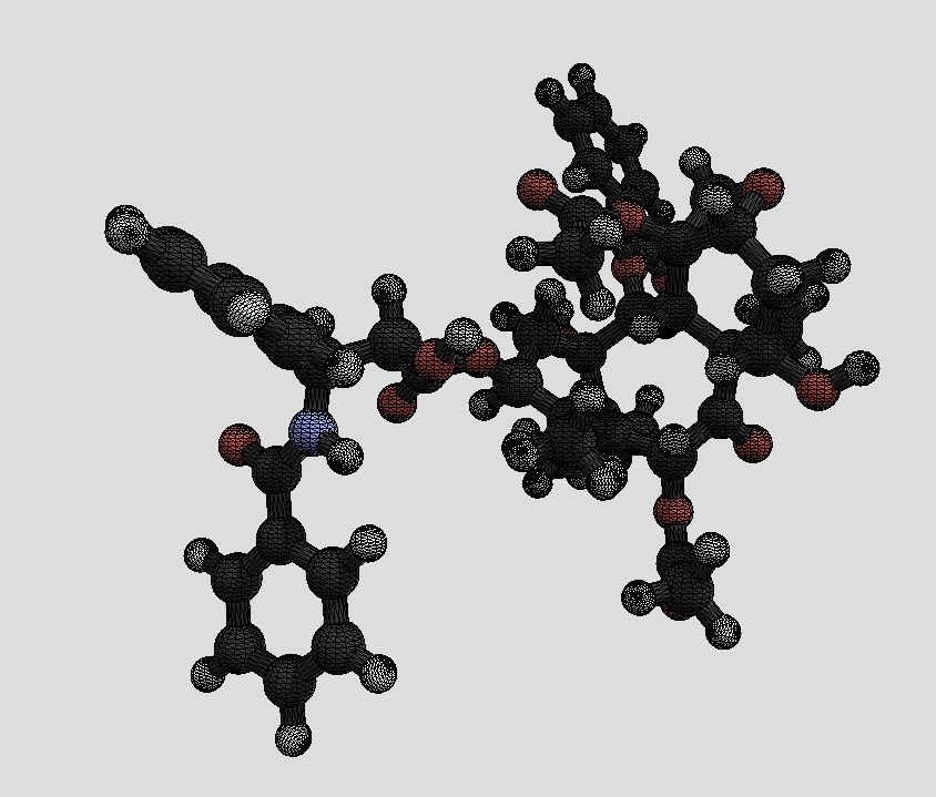 Taxol drug molecule 3D model_3