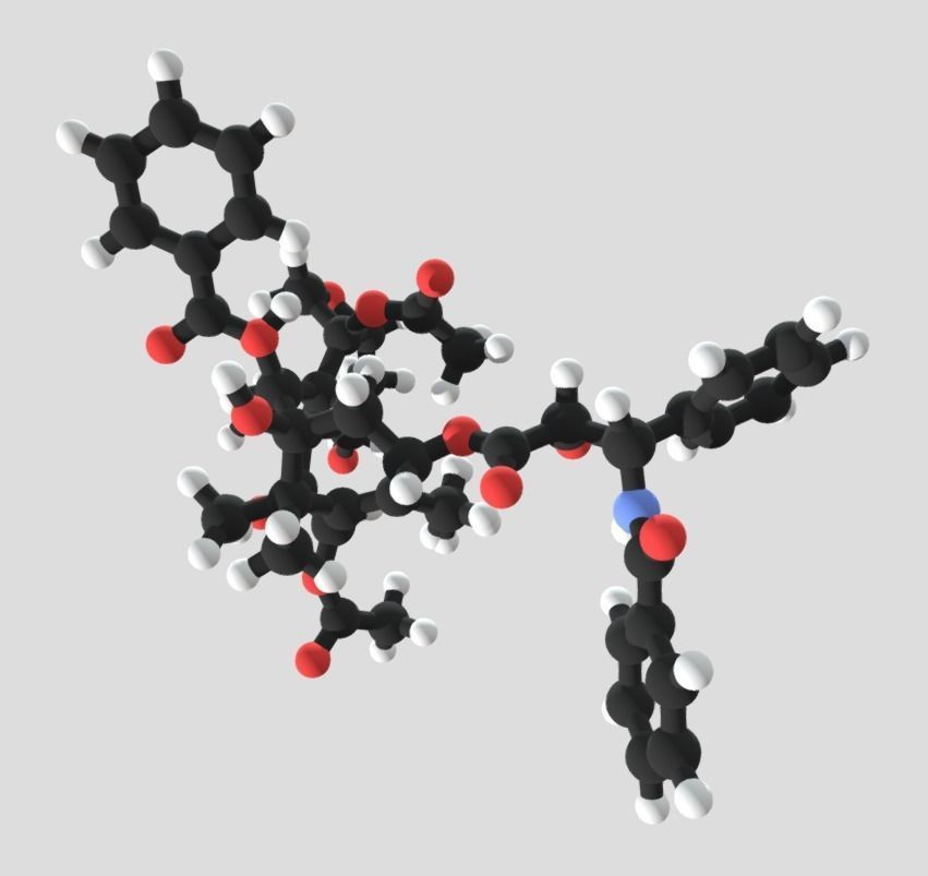 Taxol drug molecule 3D model_1