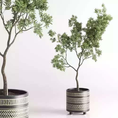 Indoor plant 56 vase handmade-pottery plant tree pot 3D model