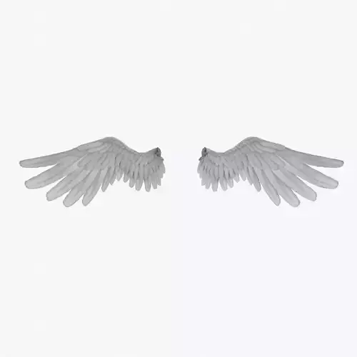 wings - Alas de Angel - Low poly Low-poly 3D model