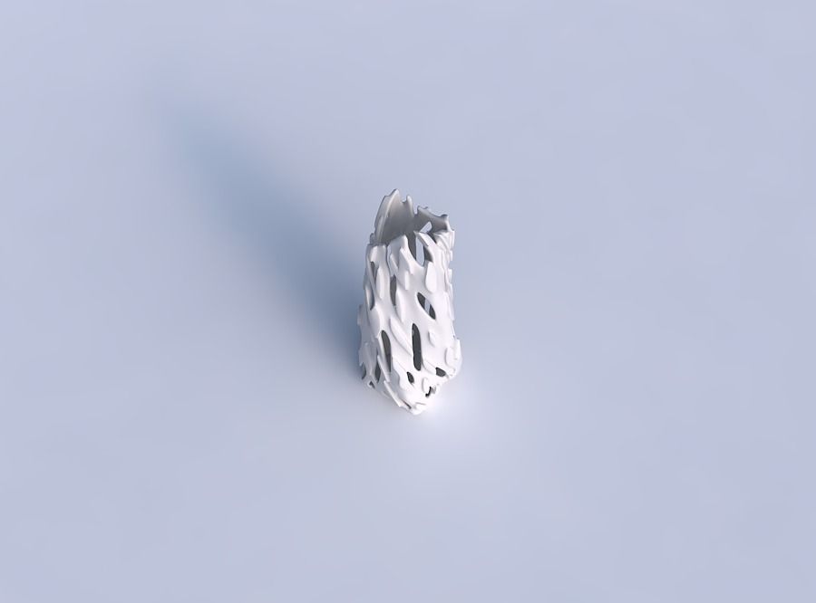 Vase twisted double arc rectangle with smooth cuts and bulges 3D print model_1