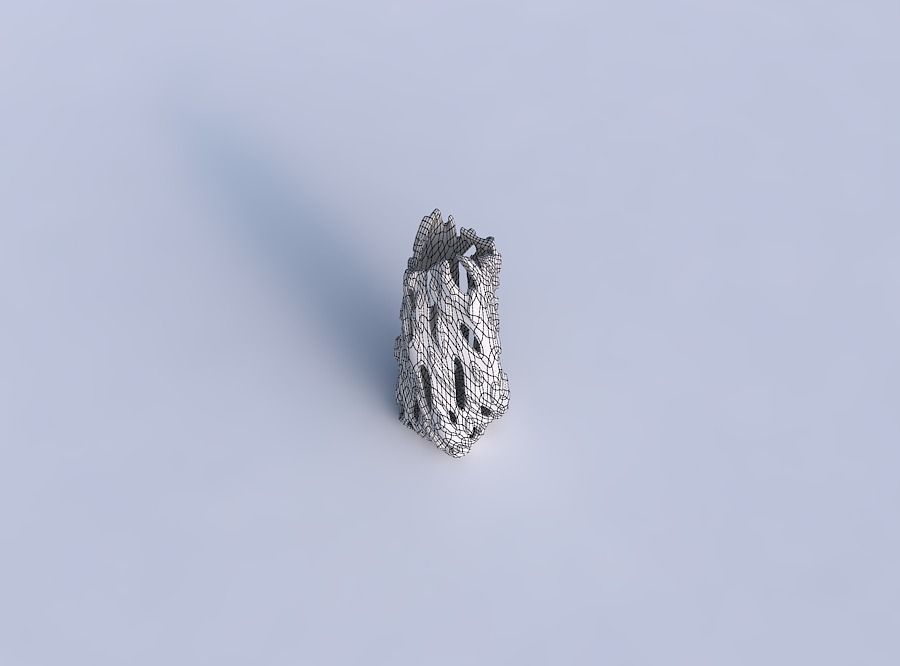 Vase twisted double arc rectangle with smooth cuts and bulges 3D print model_6