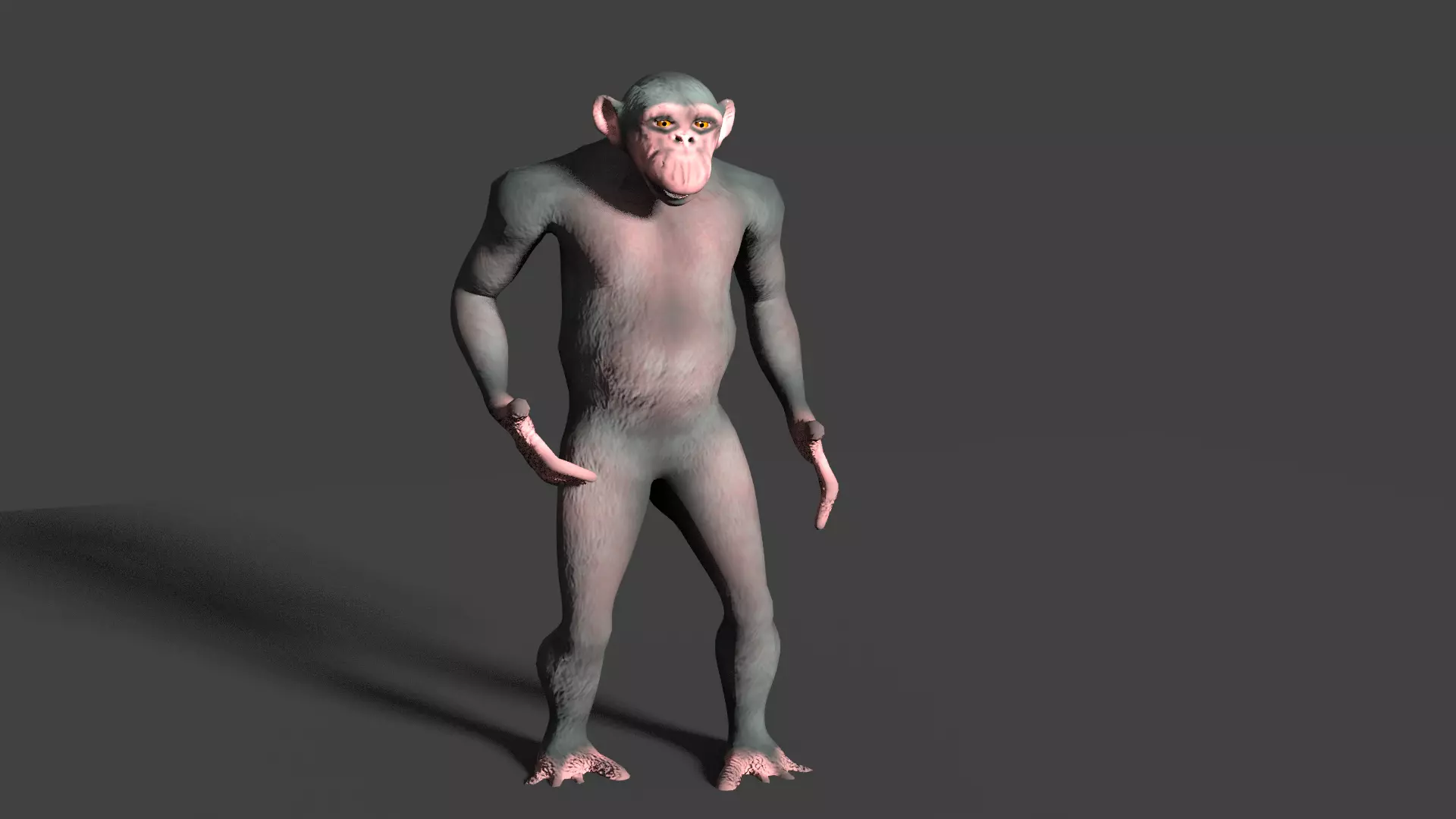 CHIMPAZEE monkey running Low-poly 3D model_0