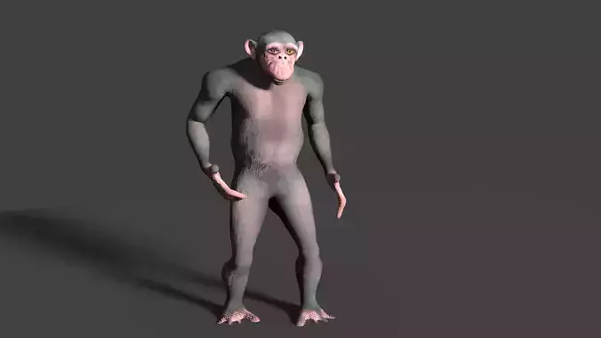CHIMPAZEE monkey running Low-poly 3D model