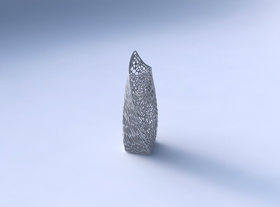 Vase twisted double arc rectangle with dense twisted organic ... 3D print model_3