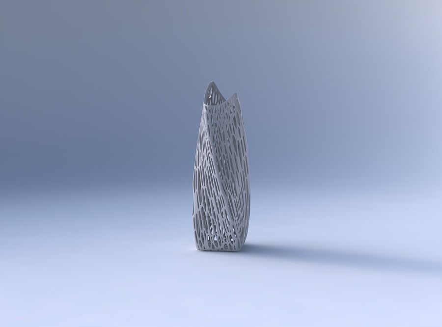 Vase twisted double arc rectangle with fine organic lattice 3D print model_4