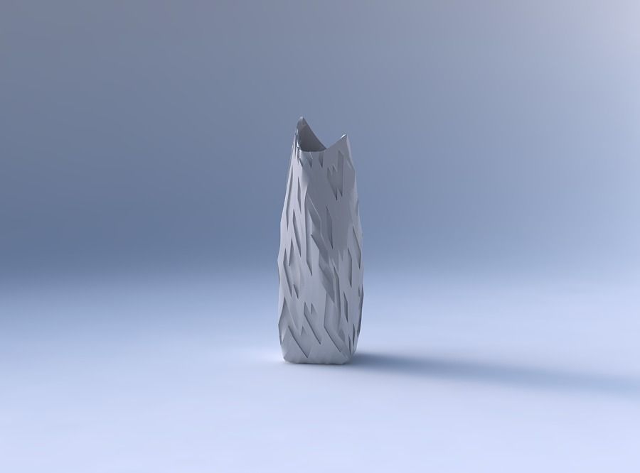Vase twisted double arc rectangle with cavities 3D print model_4