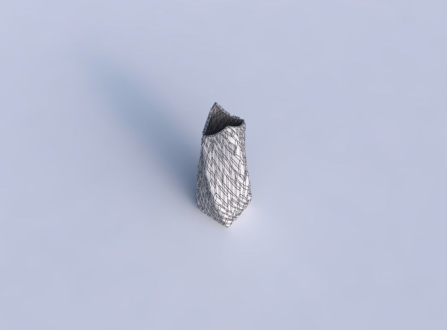 Vase twisted double arc rectangle with cavities 3D print model_6