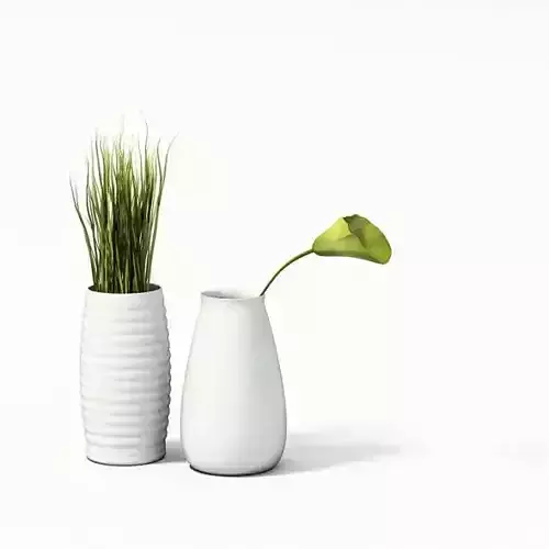 Grass And A Lily In White Vases