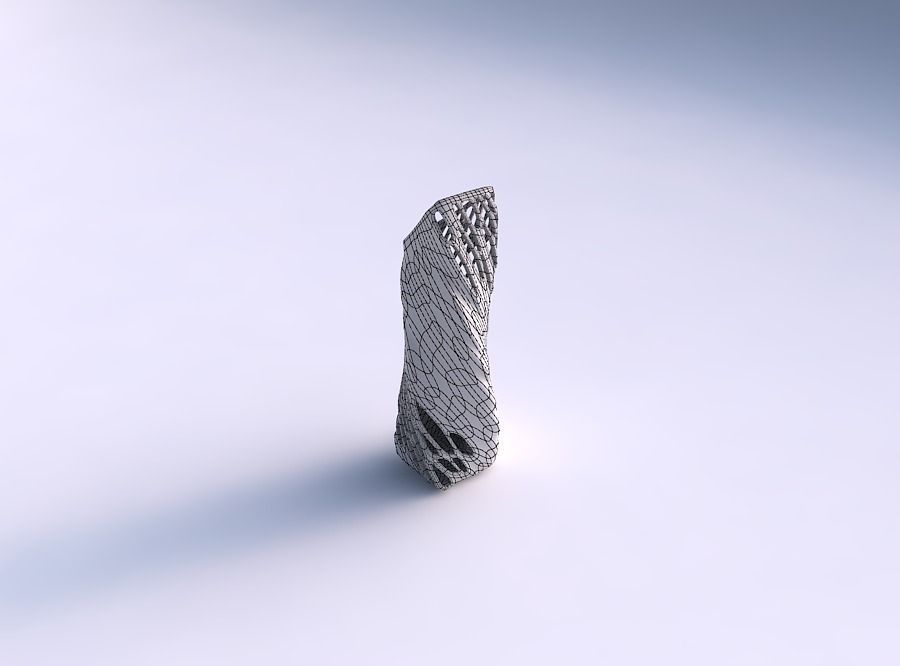 Vase twisted bent rectangle with organic lattice half solid 3D print model_5