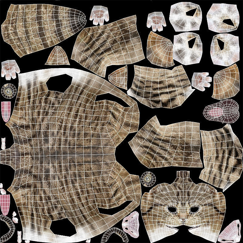 Kitten tabby cat Low-poly 3D model_32