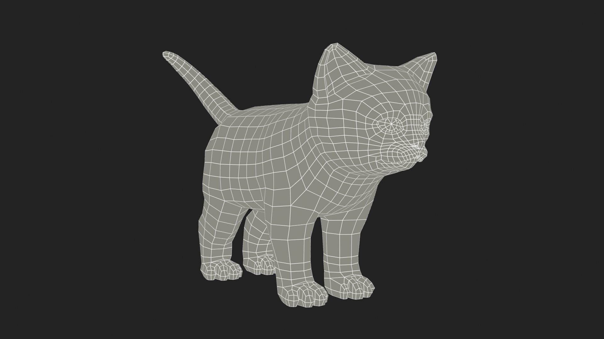 Kitten tabby cat Low-poly 3D model_29