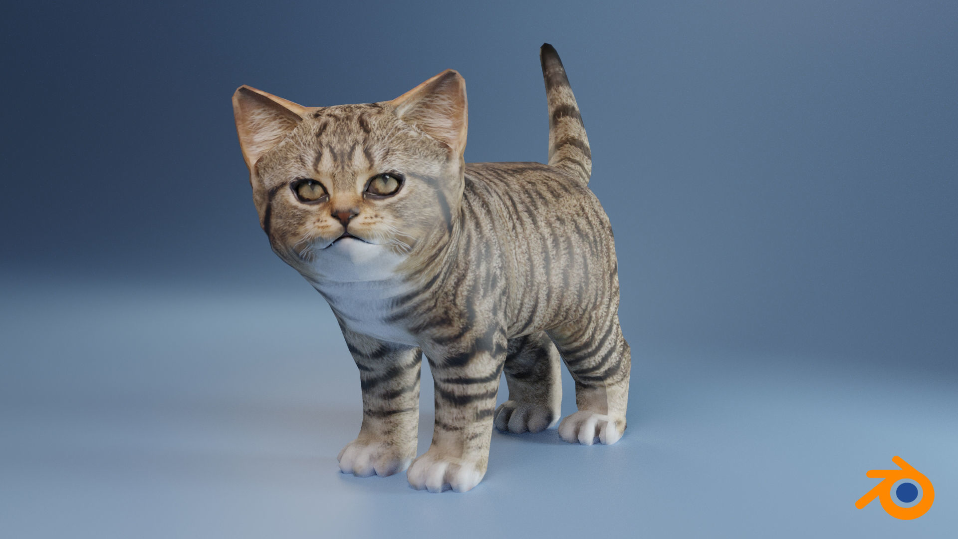 Kitten tabby cat Low-poly 3D model_28