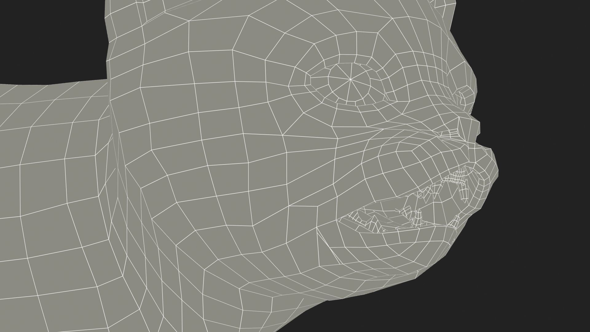 Kitten tabby cat Low-poly 3D model_31