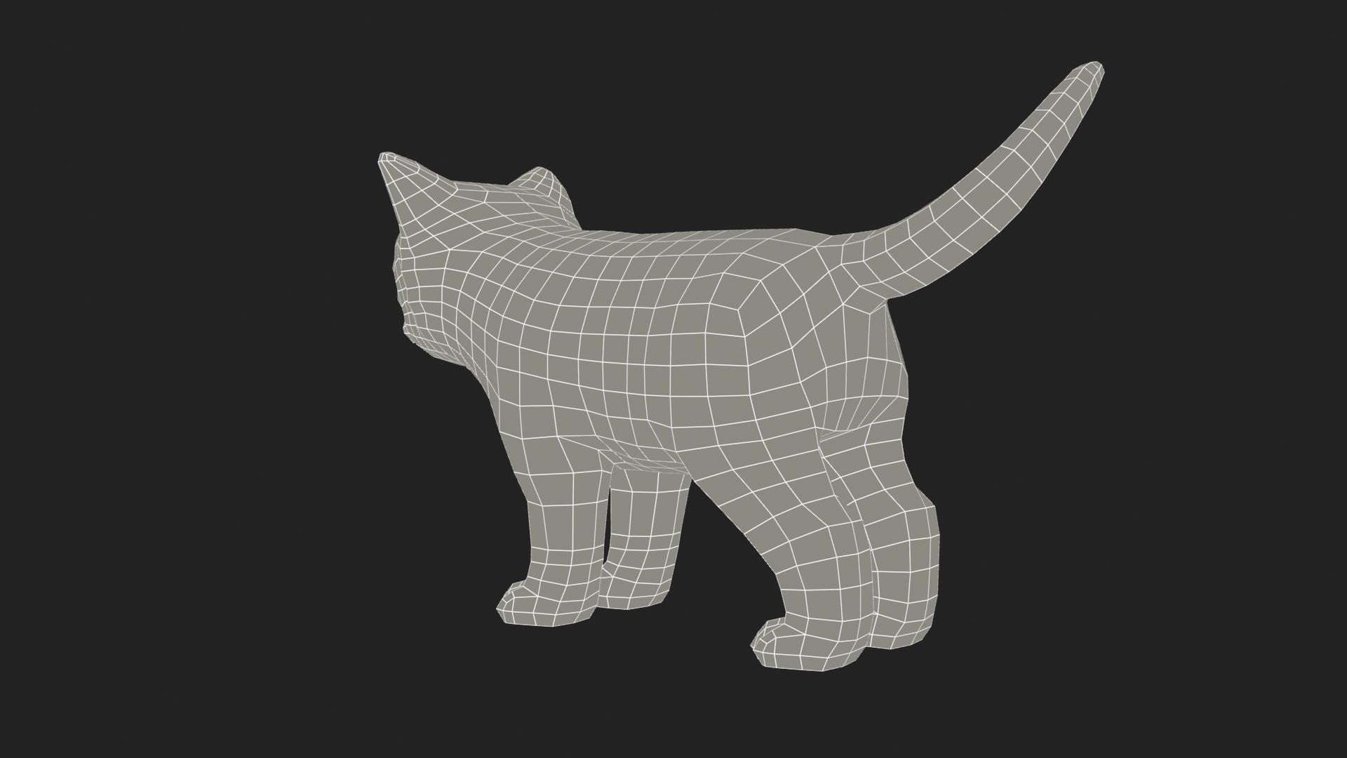 Kitten tabby cat Low-poly 3D model_30