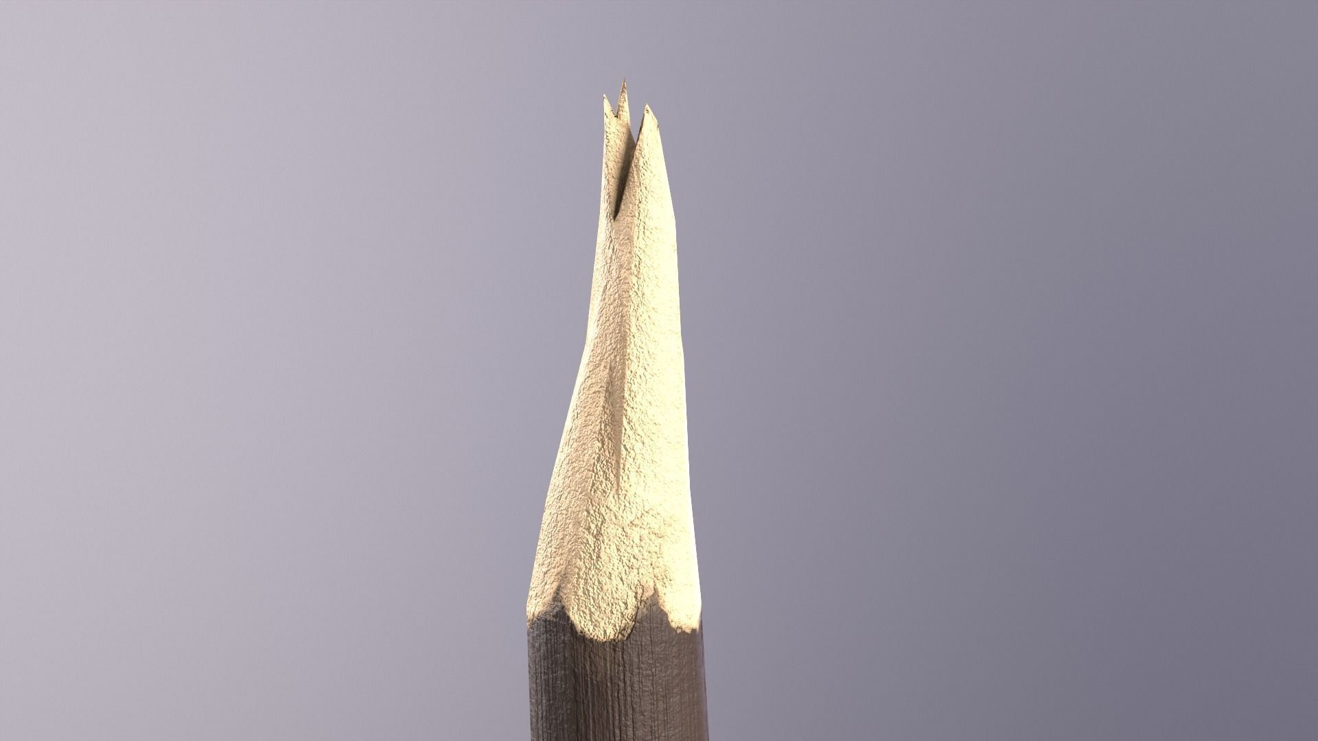 Wood sticks  Low-poly 3D model_8