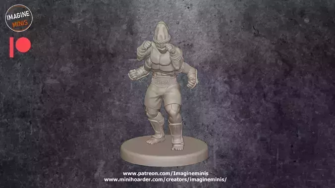 Decha - Kasatha Ringfighter 3D print model