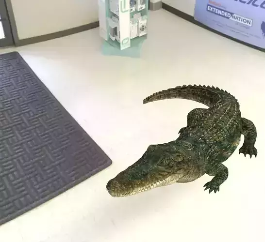 Aligator or crocodile animal 3d model 3D model