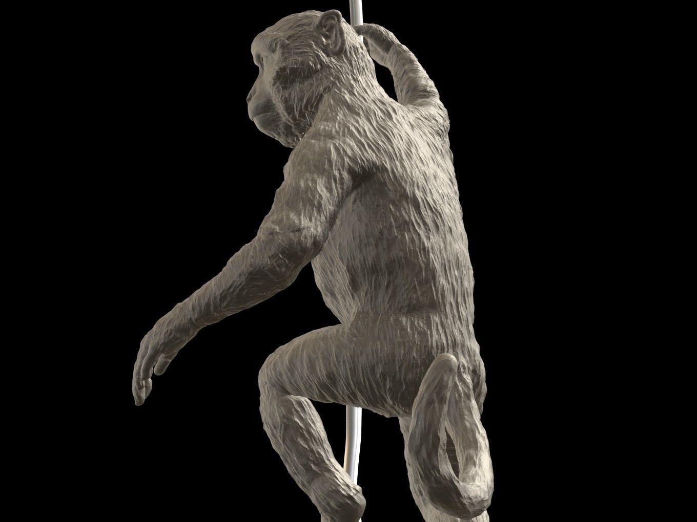 Long Tailed Macaque 3D print model_9