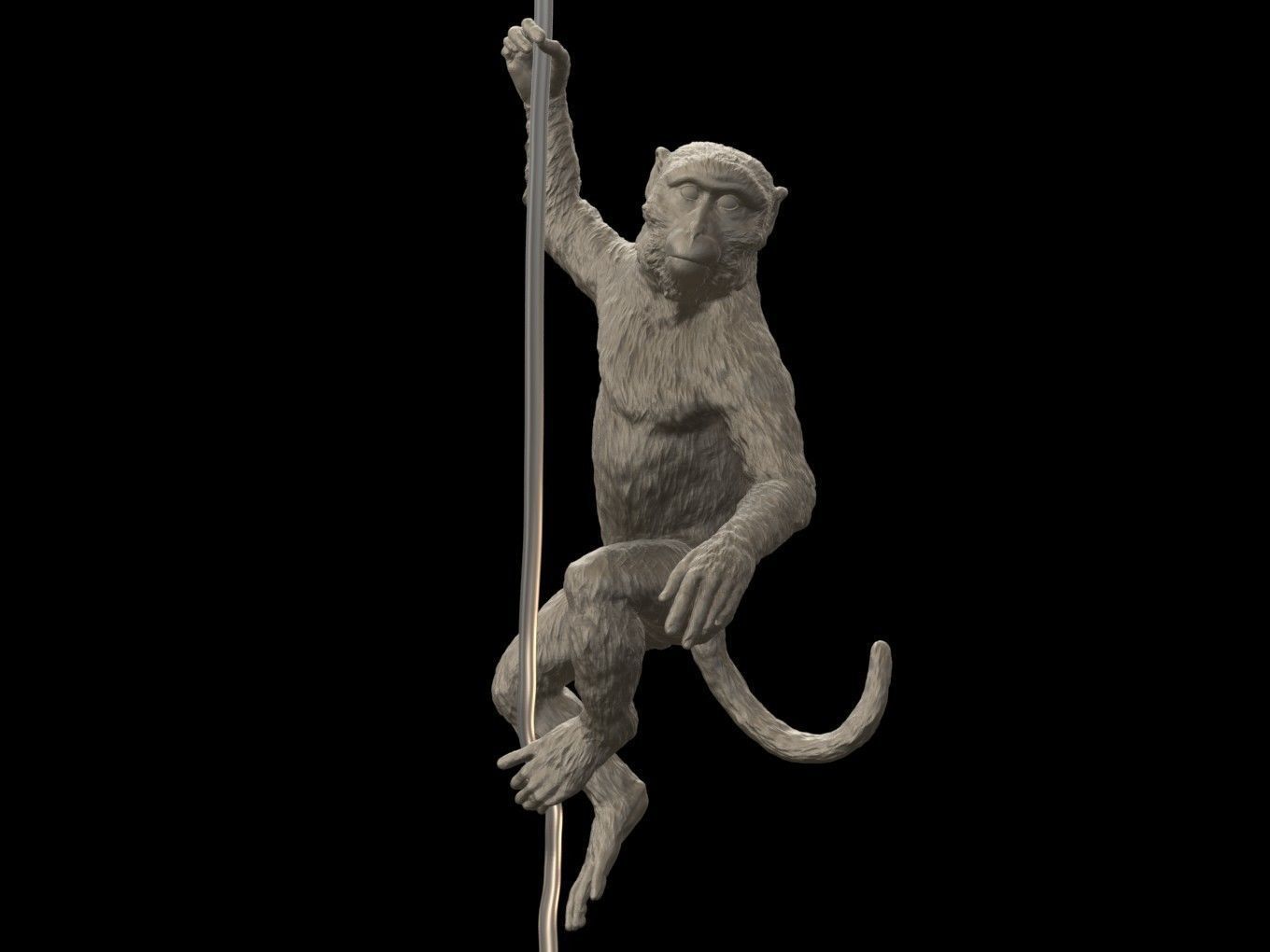 Long Tailed Macaque 3D print model_1