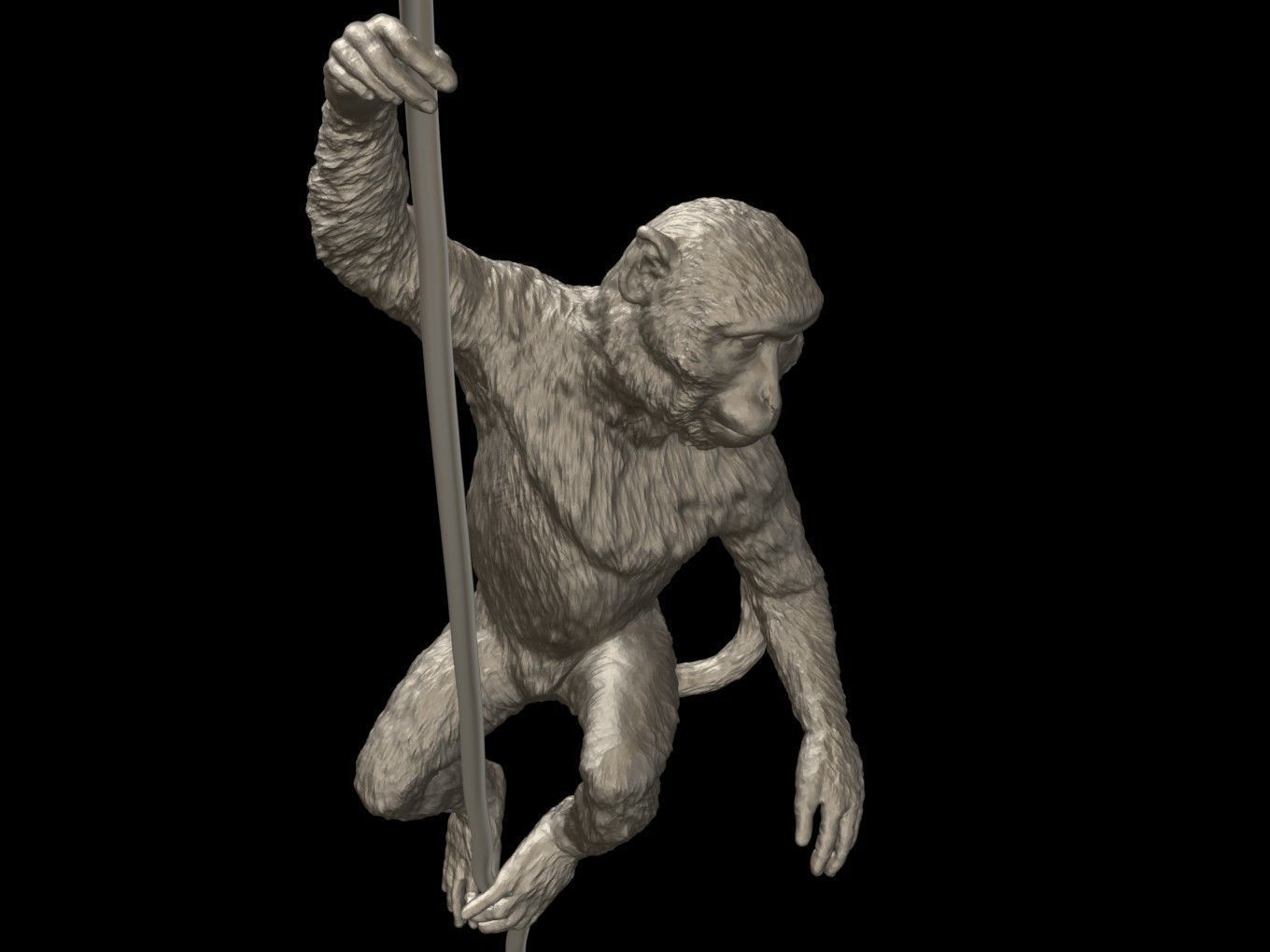 Long Tailed Macaque 3D print model_6