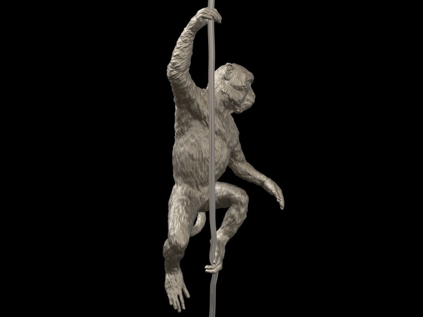 Long Tailed Macaque 3D print model_5